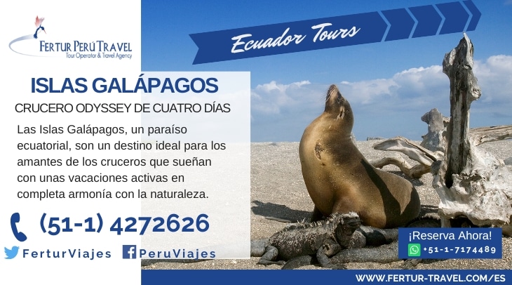 Lobo marino e iguana marina de las Islas Galápagos vistos durante un crucero de 4 días por las Islas Galápagos