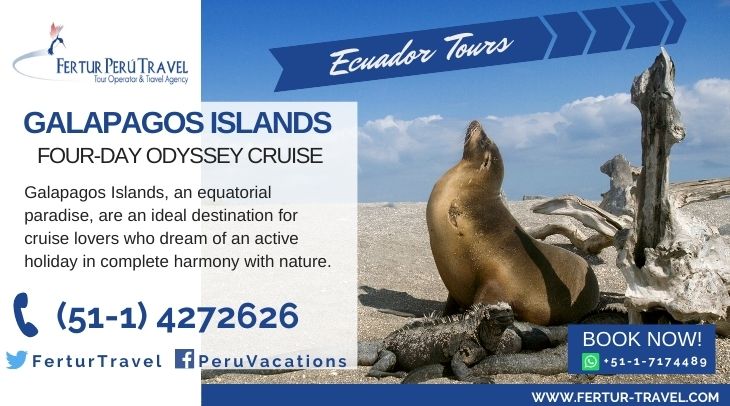 Galapagos Islands sea lion and sea iguana seen during a 4-day Galapagos Islands cruise