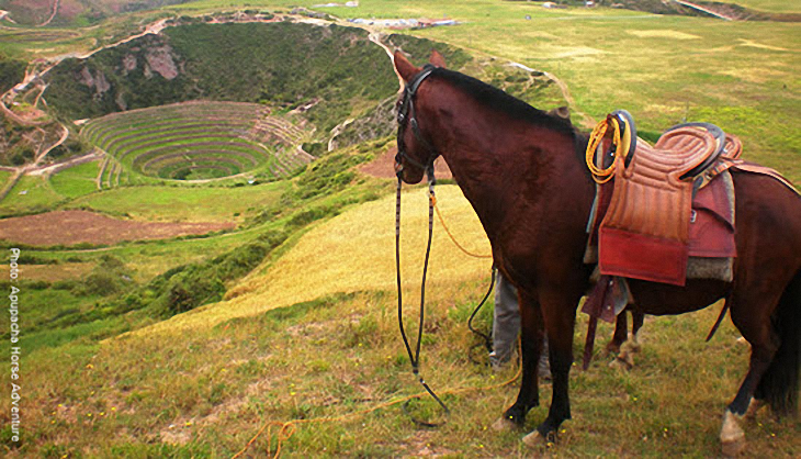 Excursión a caballo en Cusco con Fertur Peru Travel 
