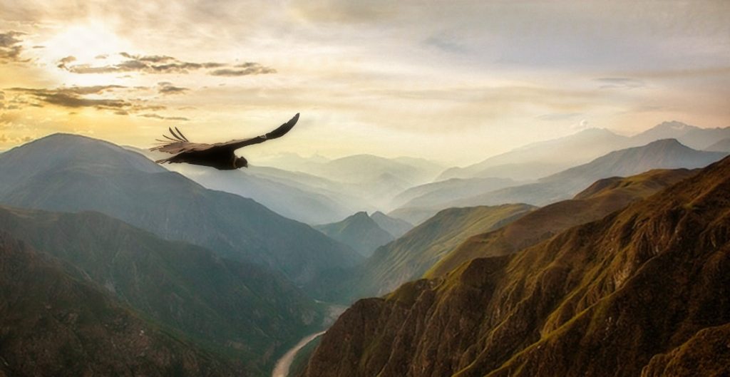 An AI enhanced depiction of an Andean Condor soaring over the Chonta Valley in Cusco