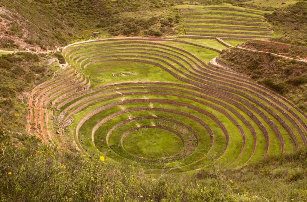 Excursiones guiadas de observación de aves que incluyen Moray - Cusco