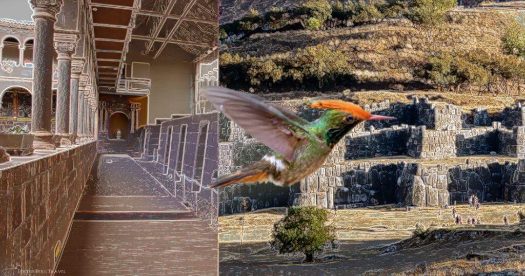 Visita a la ciudad de Cusco con observación de aves
