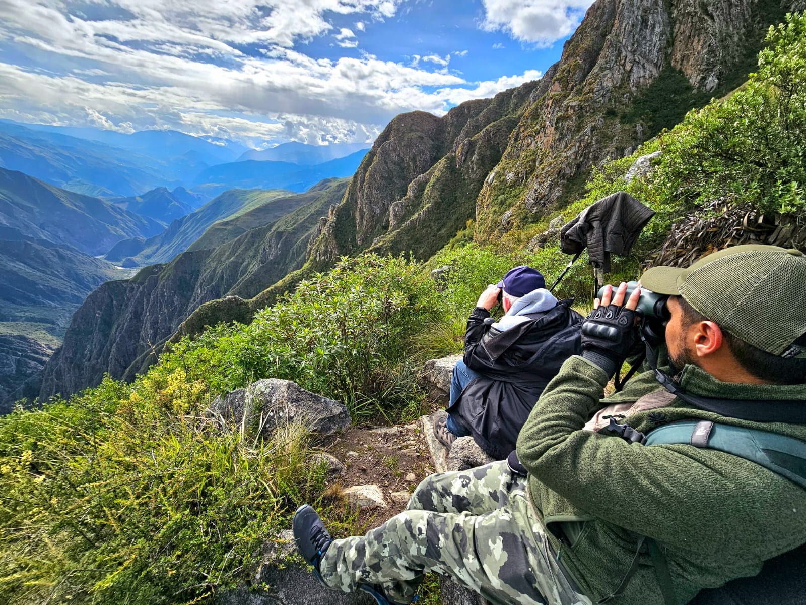 Bird watching tours in Cusco - book with Fertur Peru Travel