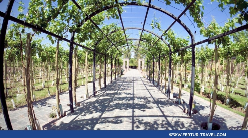 Paquetes turísticos a Mendoza, la principal región vinícola de Argentina