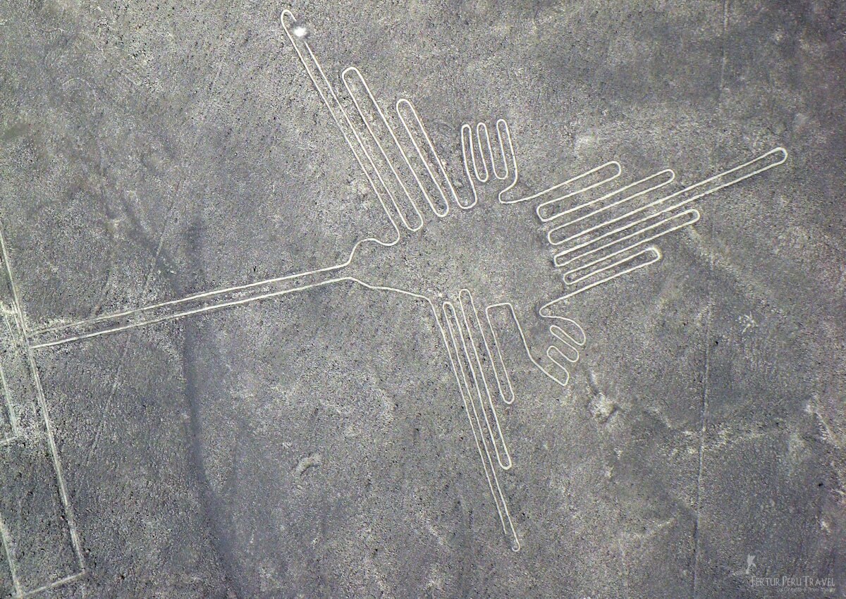 Interested in flying over the world-renowned Nazca Lines? 